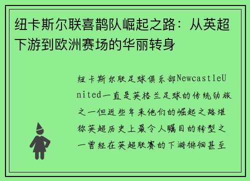 纽卡斯尔联喜鹊队崛起之路：从英超下游到欧洲赛场的华丽转身